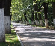 parcul-crang-buzau-toamna%20(30)