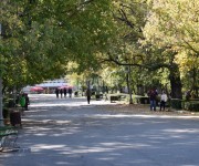 parcul-crang-buzau-toamna%20(37)