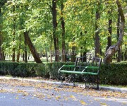 parcul-crang-buzau-toamna%20(38)