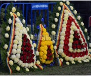 ziua-armatei-buzau%20(15)
