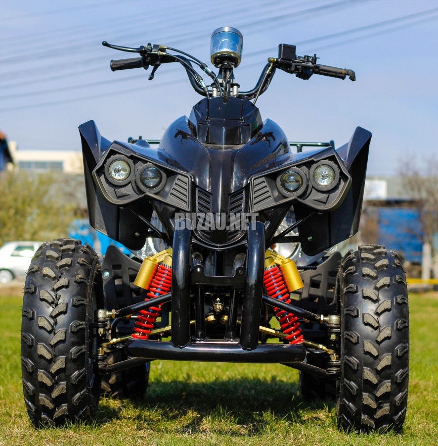ninja warrior 250cc