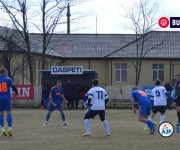 limpezis-sageata%20(11)