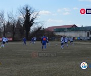 limpezis-sageata%20(12)