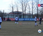 limpezis-sageata%20(13)