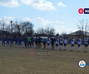 limpezis-sageata%20(15)