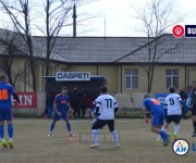 limpezis-sageata%20(6)