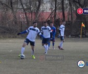 limpezis-sageata%20(7)