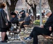 parcul%20VV%203