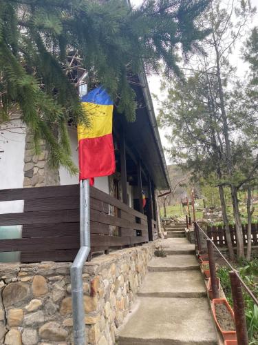 anunt-imobiliar-buzau-4
