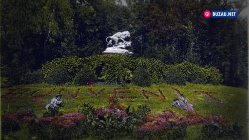 parcul-crang