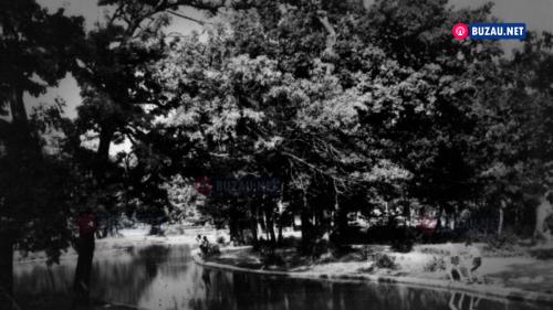 parcul-crang4
